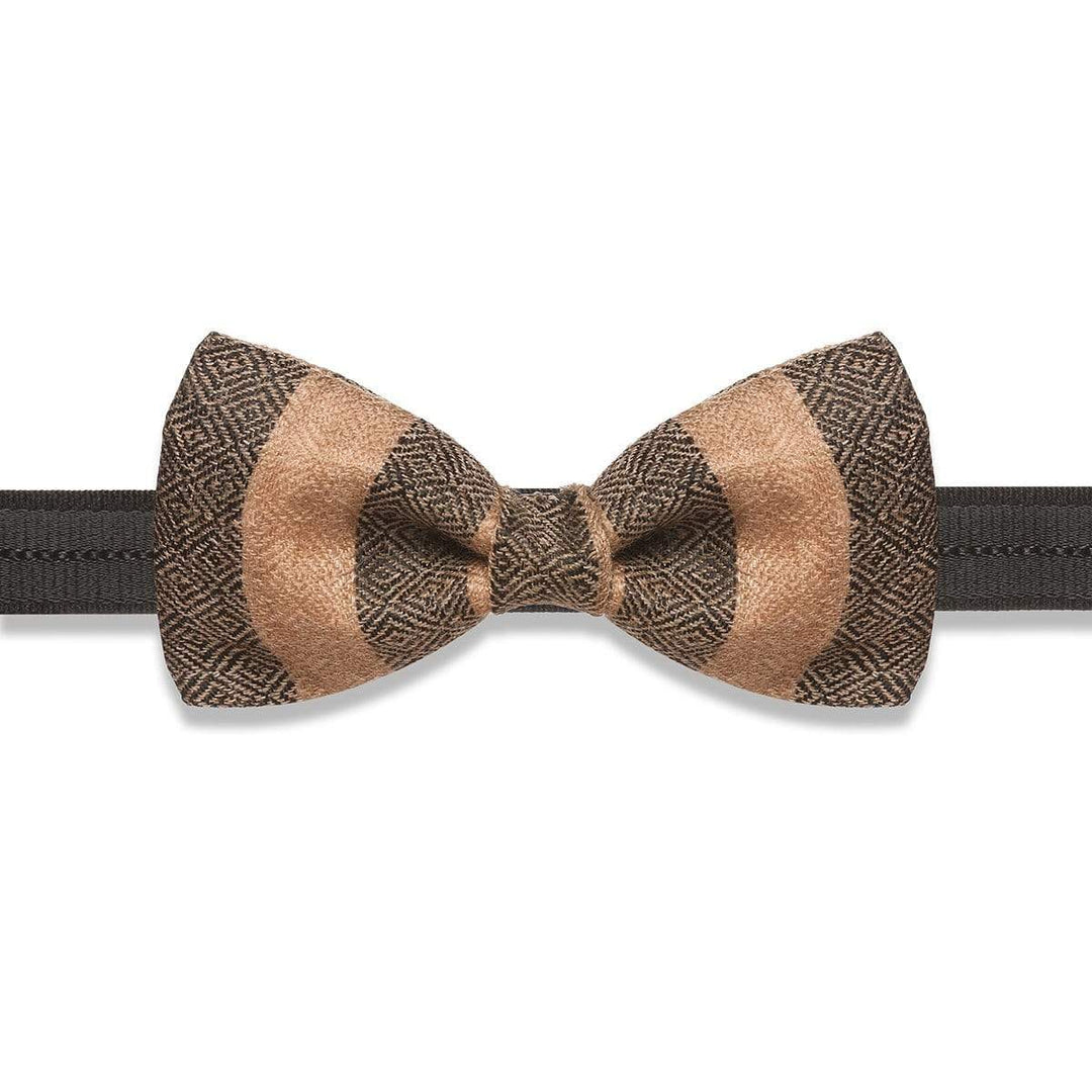 Pashutsh Bow Pashtush Mens Luxury Pre-Tied Bow Tie