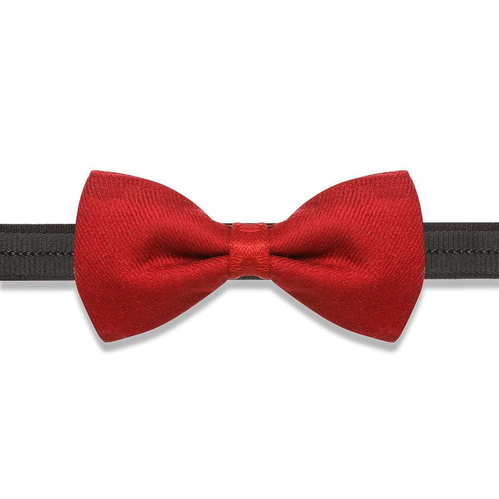 Pashtush India Bow Pashtush Mens Luxury Pre-Tied Bow Tie