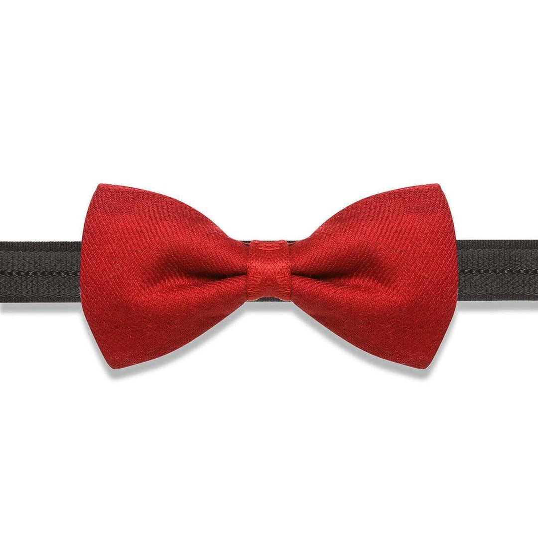 Pashtush India Bow Pashtush Mens Luxury Pre-Tied Bow Tie