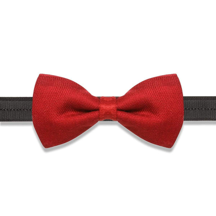 Pashtush India Bow Pashtush Mens Luxury Pre-Tied Bow Tie